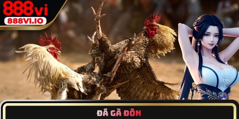 Đá gà đòn